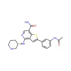 CC(=O)Nc1cccc(-c2cc3c(N[C@H]4CCCNC4)ncc(C(N)=O)c3s2)c1 ZINC000064559255