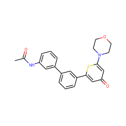 CC(=O)Nc1cccc(-c2cccc(-c3cc(=O)cc(N4CCOCC4)s3)c2)c1 ZINC000101075097