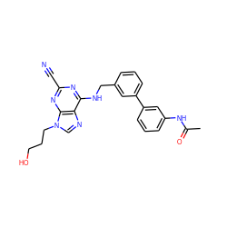 CC(=O)Nc1cccc(-c2cccc(CNc3nc(C#N)nc4c3ncn4CCCO)c2)c1 ZINC000045257480