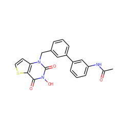 CC(=O)Nc1cccc(-c2cccc(Cn3c(=O)n(O)c(=O)c4sccc43)c2)c1 ZINC000028365595