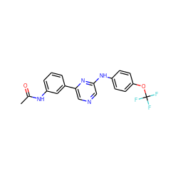 CC(=O)Nc1cccc(-c2cncc(Nc3ccc(OC(F)(F)F)cc3)n2)c1 ZINC000013679242