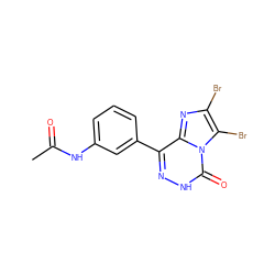 CC(=O)Nc1cccc(-c2n[nH]c(=O)n3c(Br)c(Br)nc23)c1 ZINC000028022461