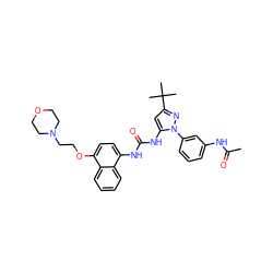 CC(=O)Nc1cccc(-n2nc(C(C)(C)C)cc2NC(=O)Nc2ccc(OCCN3CCOCC3)c3ccccc23)c1 ZINC000014956551