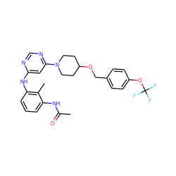 CC(=O)Nc1cccc(Nc2cc(N3CCC(OCc4ccc(OC(F)(F)F)cc4)CC3)ncn2)c1C ZINC000072141195