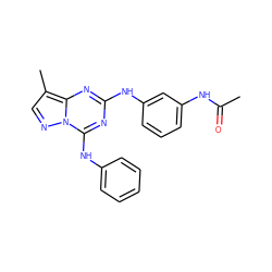 CC(=O)Nc1cccc(Nc2nc(Nc3ccccc3)n3ncc(C)c3n2)c1 ZINC000028707980