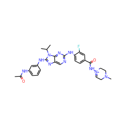 CC(=O)Nc1cccc(Nc2nc3cnc(Nc4ccc(C(=O)N[N+]5=CCN(C)CC5)cc4F)nc3n2C(C)C)c1 ZINC000198982306