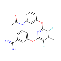 CC(=O)Nc1cccc(Oc2nc(Oc3cccc(C(=N)N)c3)c(F)c(C)c2F)c1 ZINC000013474018