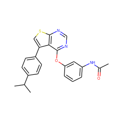 CC(=O)Nc1cccc(Oc2ncnc3scc(-c4ccc(C(C)C)cc4)c23)c1 ZINC000000628352