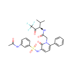 CC(=O)Nc1cccc(S(=O)(=O)Nc2ccc(-c3ccccc3)n(CC(=O)N[C@@H](C(=O)C(F)(F)F)C(C)C)c2=O)c1 ZINC000027073277