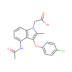 CC(=O)Nc1cccc2c1c(Oc1ccc(Cl)cc1)c(C)n2CC(=O)O ZINC000038238569