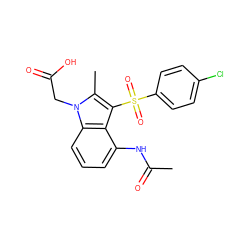 CC(=O)Nc1cccc2c1c(S(=O)(=O)c1ccc(Cl)cc1)c(C)n2CC(=O)O ZINC000038798434