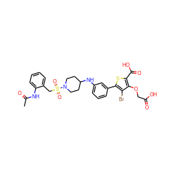 CC(=O)Nc1ccccc1CS(=O)(=O)N1CCC(Nc2cccc(-c3sc(C(=O)O)c(OCC(=O)O)c3Br)c2)CC1 ZINC000028711560