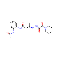 CC(=O)Nc1ccccc1NC(=O)C/C(C)=N/NC(=O)C(=O)N1CCCCC1 ZINC000100071365