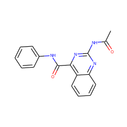 CC(=O)Nc1nc(C(=O)Nc2ccccc2)c2ccccc2n1 ZINC000028862079