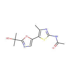 CC(=O)Nc1nc(C)c(-c2cnc(C(C)(C)O)o2)s1 ZINC000095562693