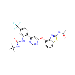 CC(=O)Nc1nc2c(Oc3cc(-c4ccc(C(F)(F)F)cc4NC(=O)NC(C)(C)C)ncn3)cccc2s1 ZINC000044406657