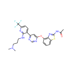 CC(=O)Nc1nc2c(Oc3cc(-c4ccc(C(F)(F)F)nc4NCCCN(C)C)ncn3)cccc2s1 ZINC000049881883