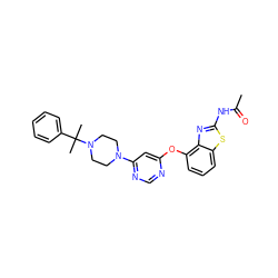 CC(=O)Nc1nc2c(Oc3cc(N4CCN(C(C)(C)c5ccccc5)CC4)ncn3)cccc2s1 ZINC000014974182