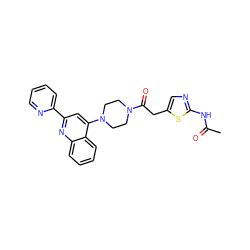 CC(=O)Nc1ncc(CC(=O)N2CCN(c3cc(-c4ccccn4)nc4ccccc34)CC2)s1 ZINC000096269548