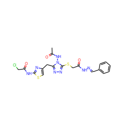 CC(=O)Nn1c(Cc2csc(NC(=O)CCl)n2)nnc1SCC(=O)N/N=C/c1ccccc1 ZINC000028816992