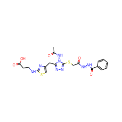 CC(=O)Nn1c(Cc2csc(NCCC(=O)O)n2)nnc1SCC(=O)NNC(=O)c1ccccc1 ZINC000028816981