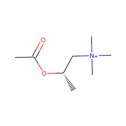 CC(=O)O[C@@H](C)C[N+](C)(C)C ZINC000003831050