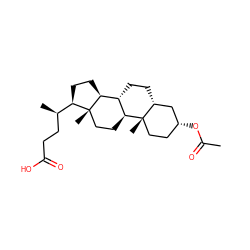CC(=O)O[C@@H]1CC[C@]2(C)[C@H]3CC[C@@]4(C)[C@@H](CC[C@@H]4[C@H](C)CCC(=O)O)[C@@H]3CC[C@@H]2C1 ZINC000028536877