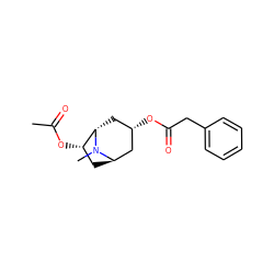 CC(=O)O[C@H]1C[C@@H]2C[C@@H](OC(=O)Cc3ccccc3)C[C@@H]1N2C ZINC000101660795