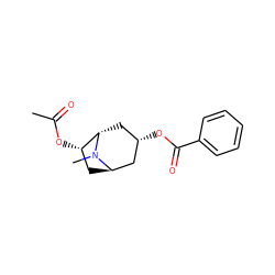 CC(=O)O[C@H]1C[C@@H]2C[C@@H](OC(=O)c3ccccc3)C[C@@H]1N2C ZINC000101660811