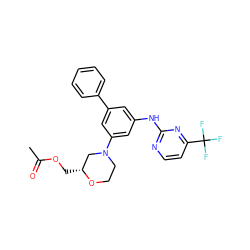 CC(=O)OC[C@@H]1CN(c2cc(Nc3nccc(C(F)(F)F)n3)cc(-c3ccccc3)c2)CCO1 ZINC001772577808