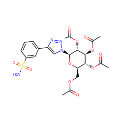 CC(=O)OC[C@H]1O[C@@H](n2cc(-c3cccc(S(N)(=O)=O)c3)nn2)[C@H](OC(C)=O)[C@@H](OC(C)=O)[C@@H]1OC(C)=O ZINC000103244499