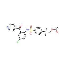 CC(=O)OCC(C)(C)c1ccc(S(=O)(=O)Nc2ccc(Cl)cc2C(=O)c2ccncc2)cc1 ZINC000146995386