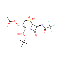 CC(=O)OCC1=C(C(=O)OC(C)(C)C)N2C(=O)[C@H](NC(=O)C(F)(F)F)[C@H]2S(=O)(=O)C1 ZINC000026568636