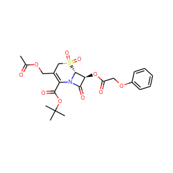 CC(=O)OCC1=C(C(=O)OC(C)(C)C)N2C(=O)[C@H](OC(=O)COc3ccccc3)[C@H]2S(=O)(=O)C1 ZINC000026509349