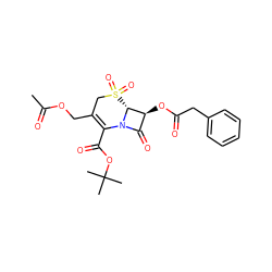 CC(=O)OCC1=C(C(=O)OC(C)(C)C)N2C(=O)[C@H](OC(=O)Cc3ccccc3)[C@H]2S(=O)(=O)C1 ZINC000026500065