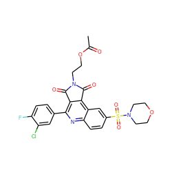 CC(=O)OCCN1C(=O)c2c(-c3ccc(F)c(Cl)c3)nc3ccc(S(=O)(=O)N4CCOCC4)cc3c2C1=O ZINC000014947192