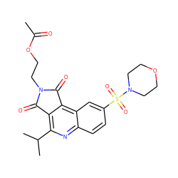 CC(=O)OCCN1C(=O)c2c(C(C)C)nc3ccc(S(=O)(=O)N4CCOCC4)cc3c2C1=O ZINC000013644548