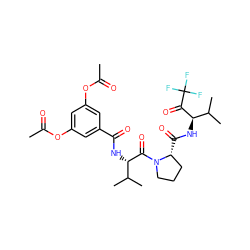 CC(=O)Oc1cc(OC(C)=O)cc(C(=O)N[C@H](C(=O)N2CCC[C@H]2C(=O)N[C@@H](C(=O)C(F)(F)F)C(C)C)C(C)C)c1 ZINC000029550358