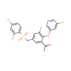 CC(=O)c1cc(NS(=O)(=O)c2ccc(Cl)cc2Cl)cc(Cl)c1Oc1cncc(Cl)c1 ZINC000095590154