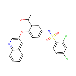 CC(=O)c1cc(NS(=O)(=O)c2ccc(Cl)cc2Cl)ccc1Oc1cnc2ccccc2c1 ZINC000095590622