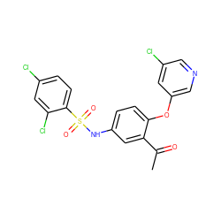 CC(=O)c1cc(NS(=O)(=O)c2ccc(Cl)cc2Cl)ccc1Oc1cncc(Cl)c1 ZINC000095592526