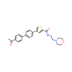 CC(=O)c1ccc(-c2ccc(-c3csc(C(=O)NCCN4CCOCC4)c3)cc2)cc1 ZINC000028133564