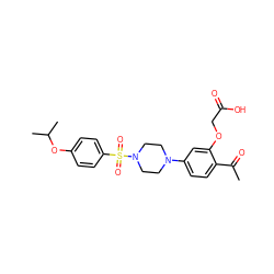 CC(=O)c1ccc(N2CCN(S(=O)(=O)c3ccc(OC(C)C)cc3)CC2)cc1OCC(=O)O ZINC001772630272