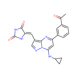 CC(=O)c1cccc(-c2cc(NC3CC3)n3ncc(/C=C4\NC(=O)NC4=O)c3n2)c1 ZINC000205037724