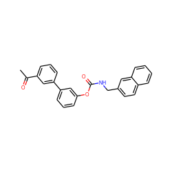 CC(=O)c1cccc(-c2cccc(OC(=O)NCc3ccc4ccccc4c3)c2)c1 ZINC000042888687