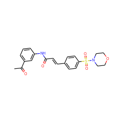 CC(=O)c1cccc(NC(=O)/C=C/c2ccc(S(=O)(=O)N3CCOCC3)cc2)c1 ZINC000003311167