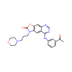 CC(=O)c1cccc(Nc2ncnc3cc4oc(=O)n(CCCN5CCOCC5)c4cc23)c1 ZINC000084711832