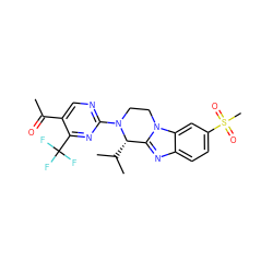 CC(=O)c1cnc(N2CCn3c(nc4ccc(S(C)(=O)=O)cc43)[C@@H]2C(C)C)nc1C(F)(F)F ZINC000147713261