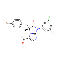 CC(=O)c1cnc2n1[C@](C)(Cc1ccc(Br)cc1)C(=O)N2c1cc(Cl)cc(Cl)c1 ZINC000028464714