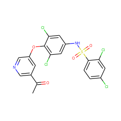 CC(=O)c1cncc(Oc2c(Cl)cc(NS(=O)(=O)c3ccc(Cl)cc3Cl)cc2Cl)c1 ZINC000095590530